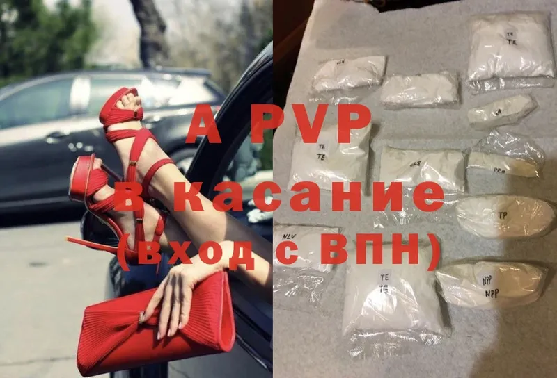 A-PVP СК  Новокузнецк 